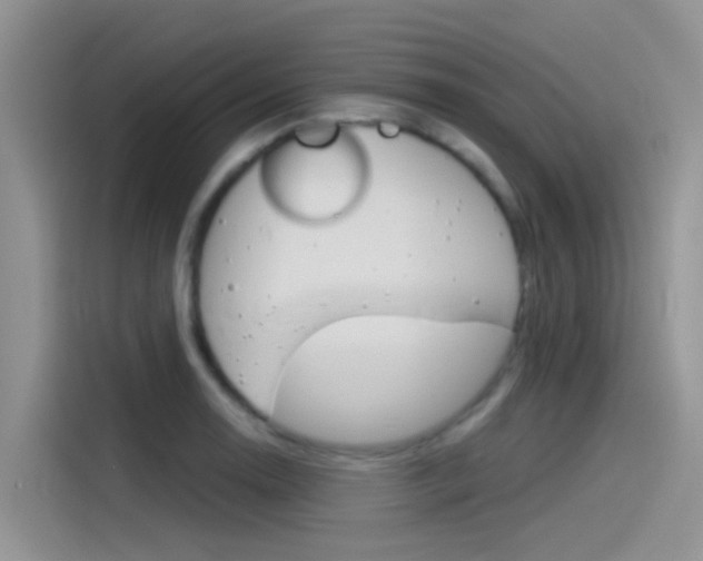 X0000115851130200911131121