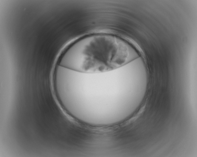 X0000115851133200911131121
