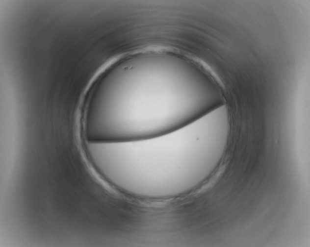 X0000115851134200911131121