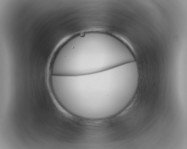 X0000115851135200911131121