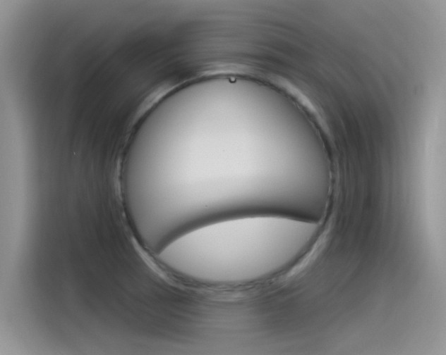 X0000115851137200911131121