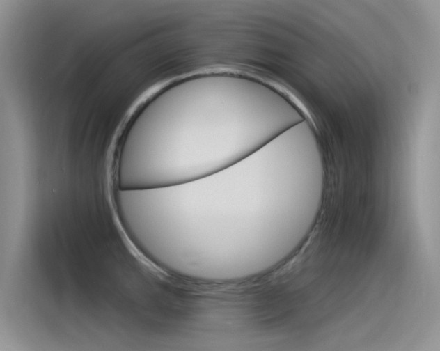 X0000115851143200911131121