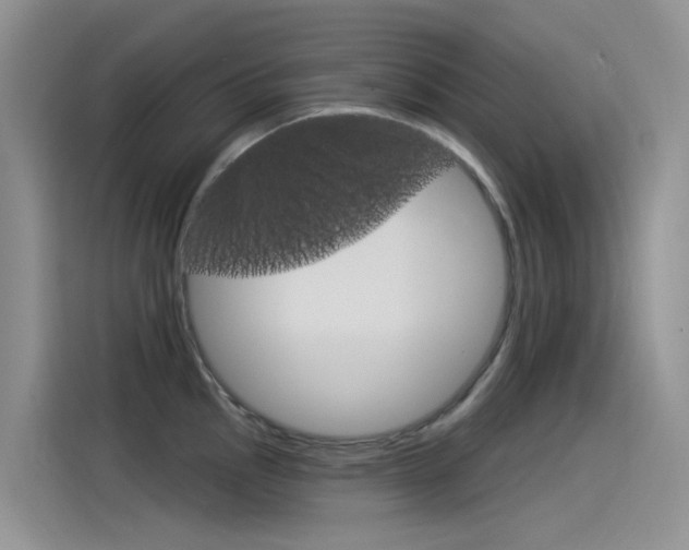 X0000115851145200911131121