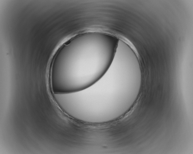 X0000115851146200911131121