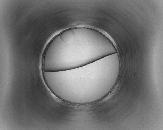 X0000115851149200911131121