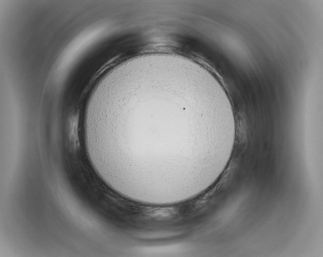 X0000115851150200911131121
