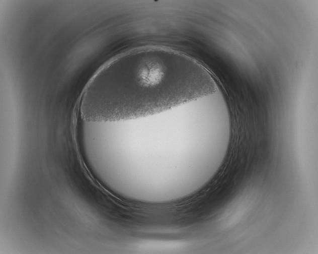 X0000115851151200911131121