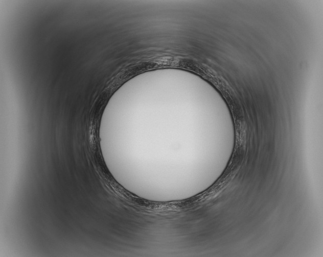 X0000115851154200911131121