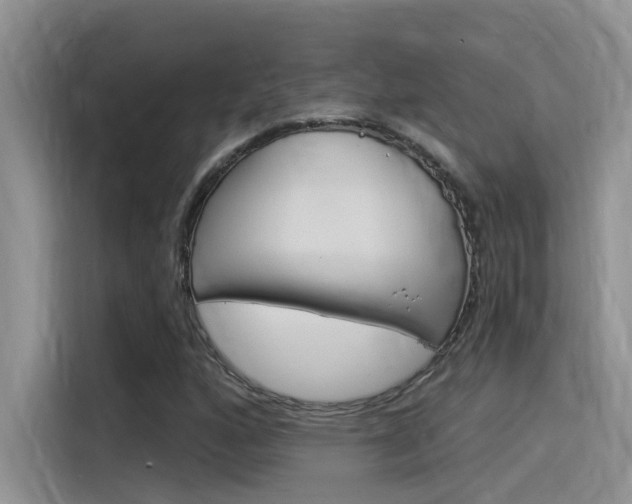 X0000115851160200911131121