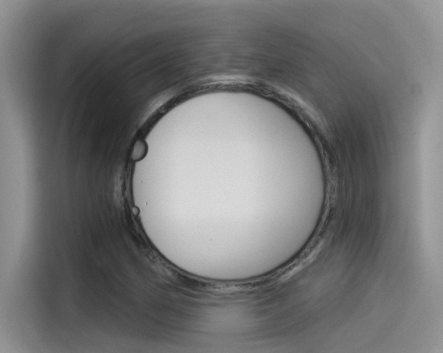 X0000115851162200911131121