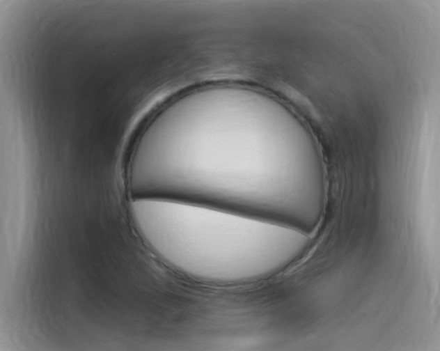 X0000115851167200911131121