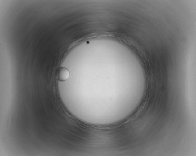 X0000115851169200911131120