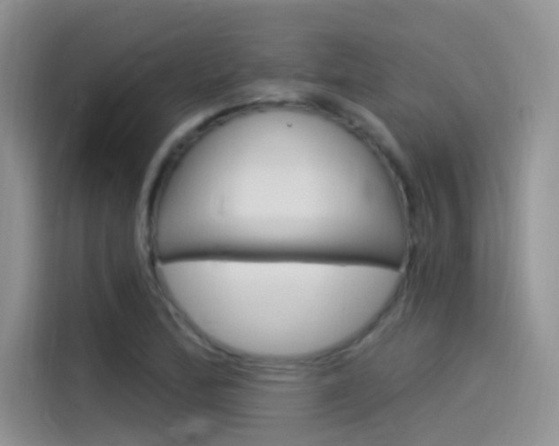 X0000115851172200911131120
