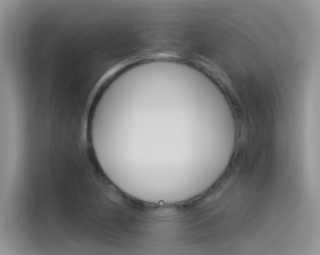 X0000115851174200911131120