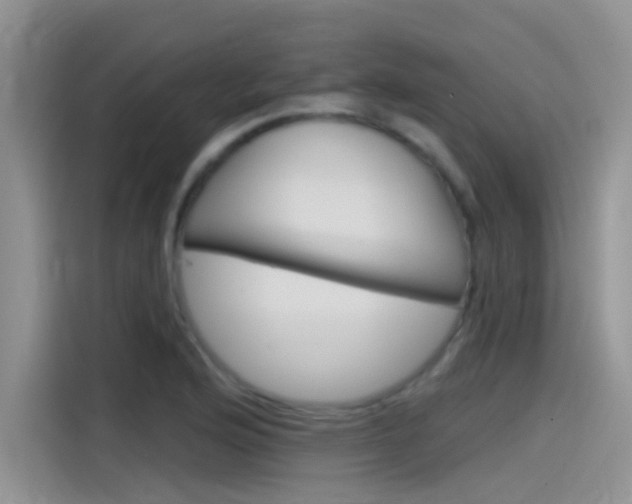 X0000115851176200911131120
