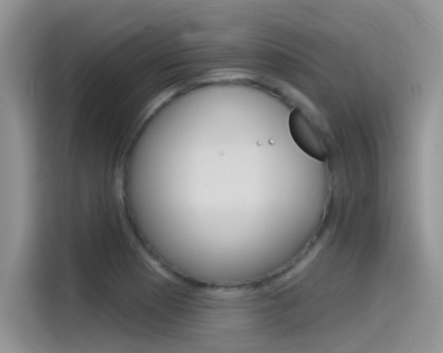 X0000115851177200911131120