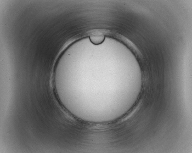 X0000115851178200911131120