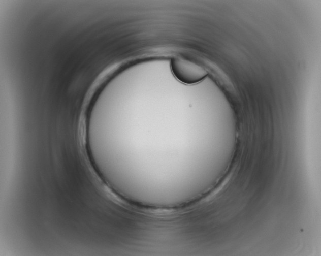 X0000115851180200911131120