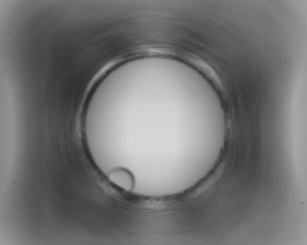 X0000115851182200911131120