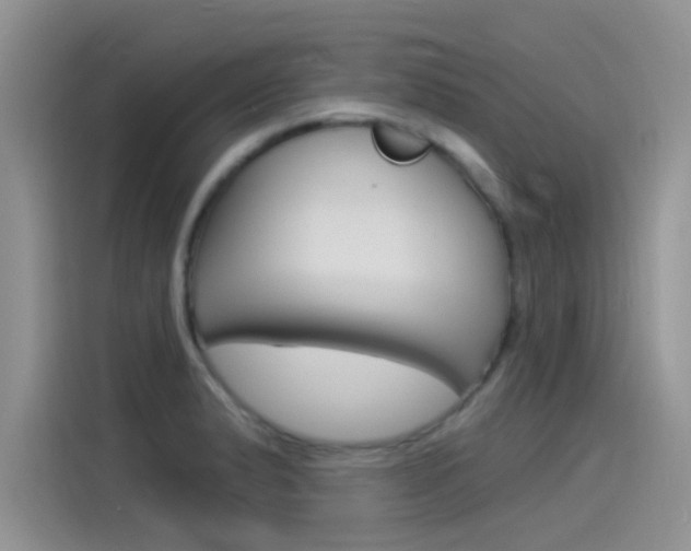 X0000115851183200911131120