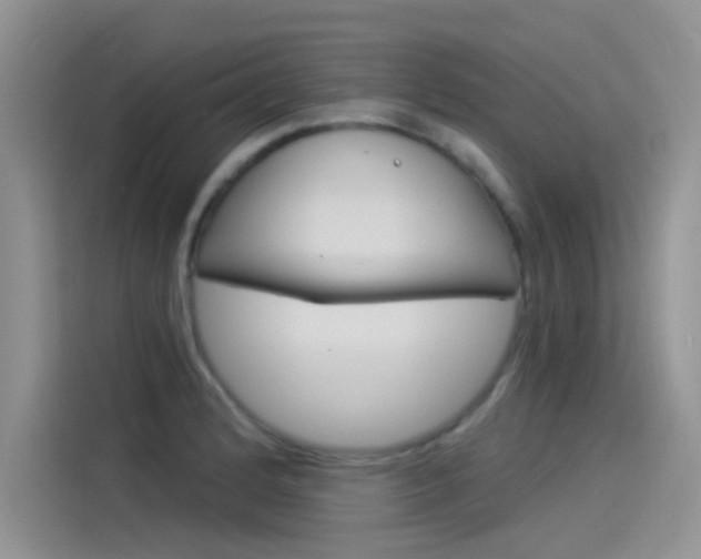 X0000115851184200911131120