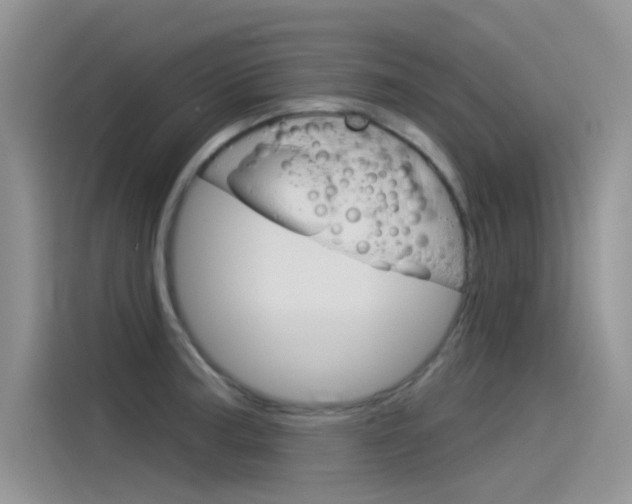 X0000115851187200911131120