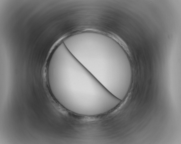 X0000115851190200911131120