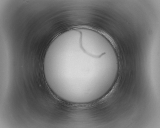 X0000115851193200911131120