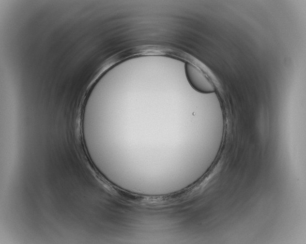 X0000115851194200911131120