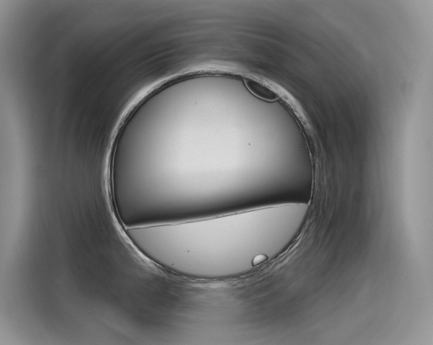 X0000115851199200911131120