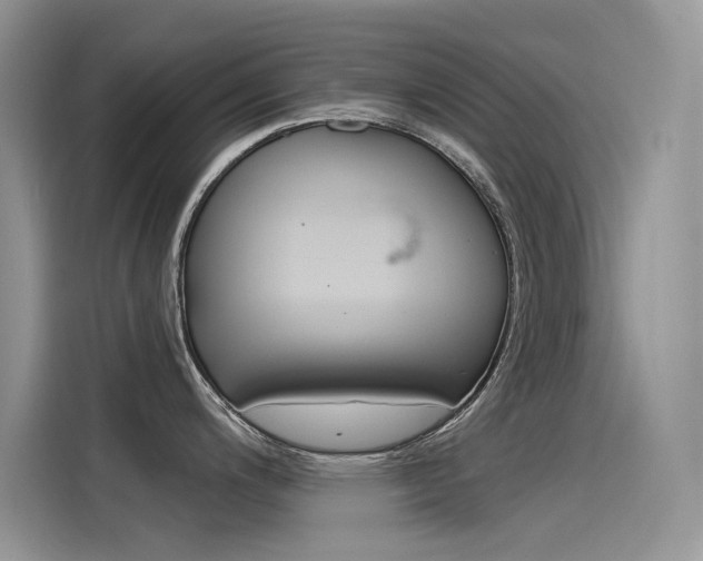 X0000115851200200911131120
