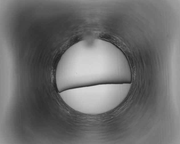 X0000115851204200911131119