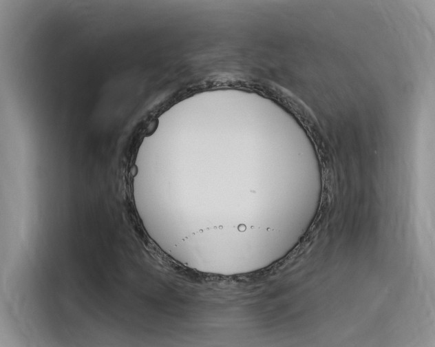 X0000115851207200911131120