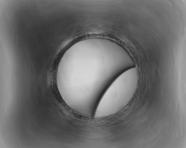 X0000115851208200911131120