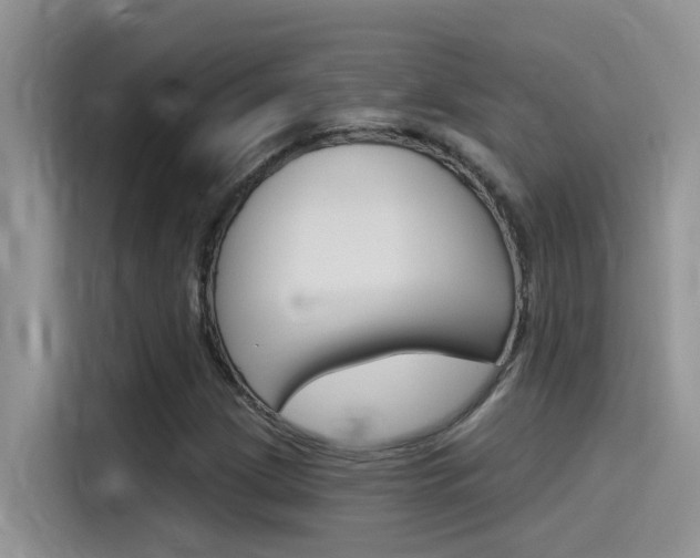 X0000115851209200911131120