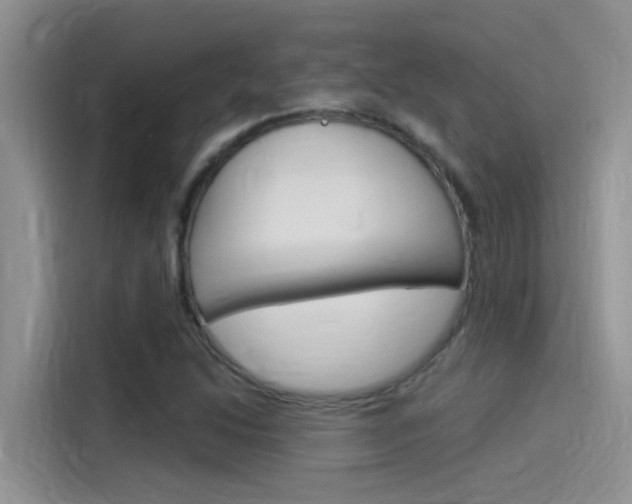 X0000115851214200911131120