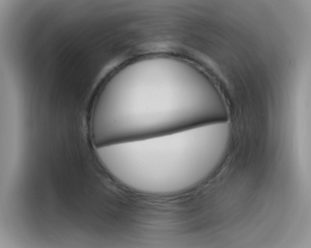 X0000115851218200911131120