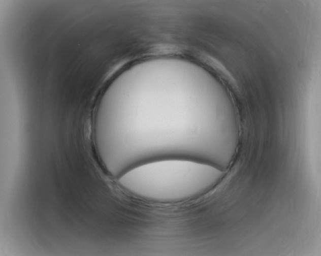 X0000115851220200911131120