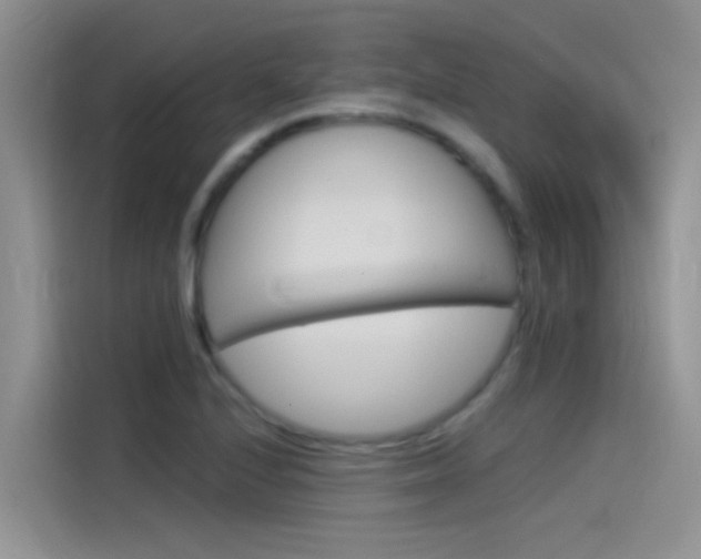 X0000115851224200911131120