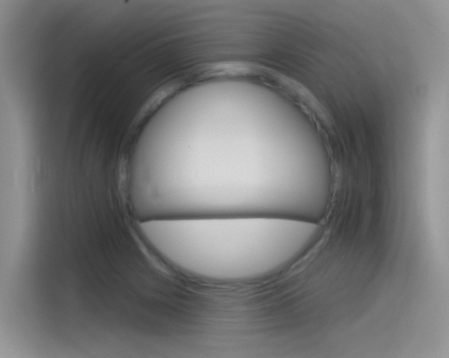 X0000115851225200911131120