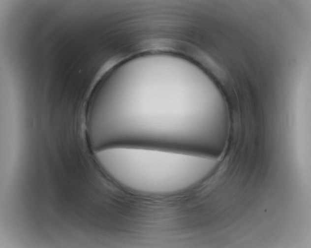 X0000115851226200911131120