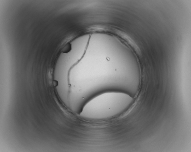 X0000115851233200911131120
