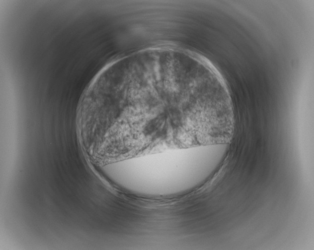 X0000115851235200911131120