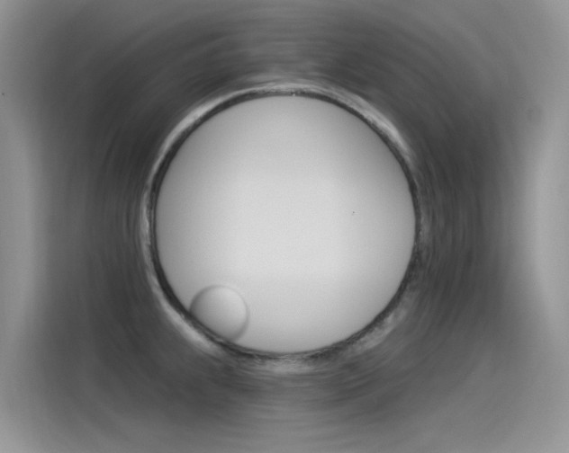 X0000115851239200911131120