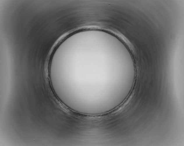 X0000115851240200911131120
