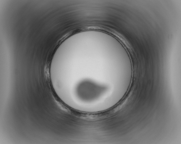 X0000115851241200911131120