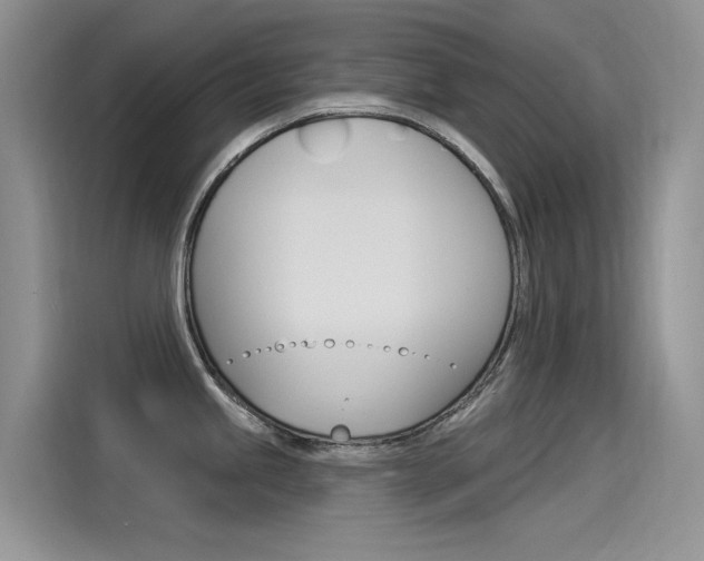X0000115851245200911131120