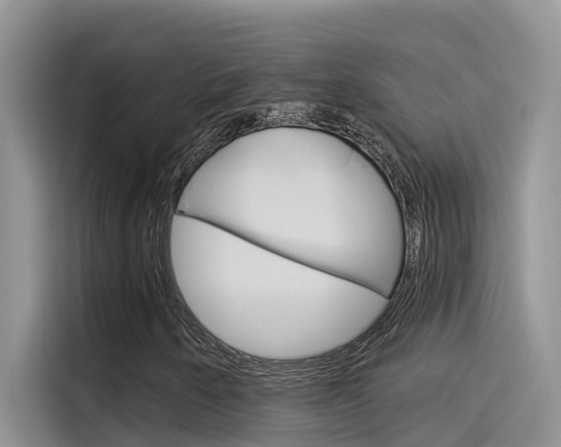 X0000115851250200911131119