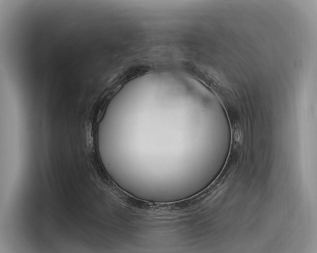 X0000115851252200911131119