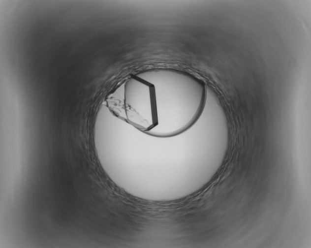 X0000115851253200911131119
